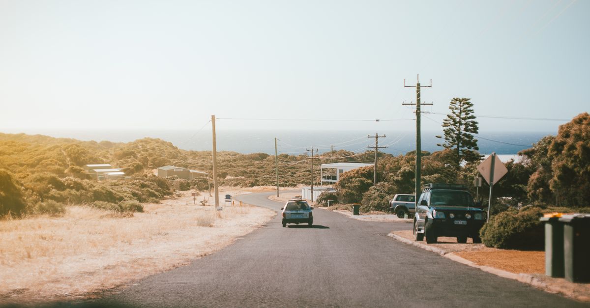 Customised Driving Lessons for Individual Learning Styles