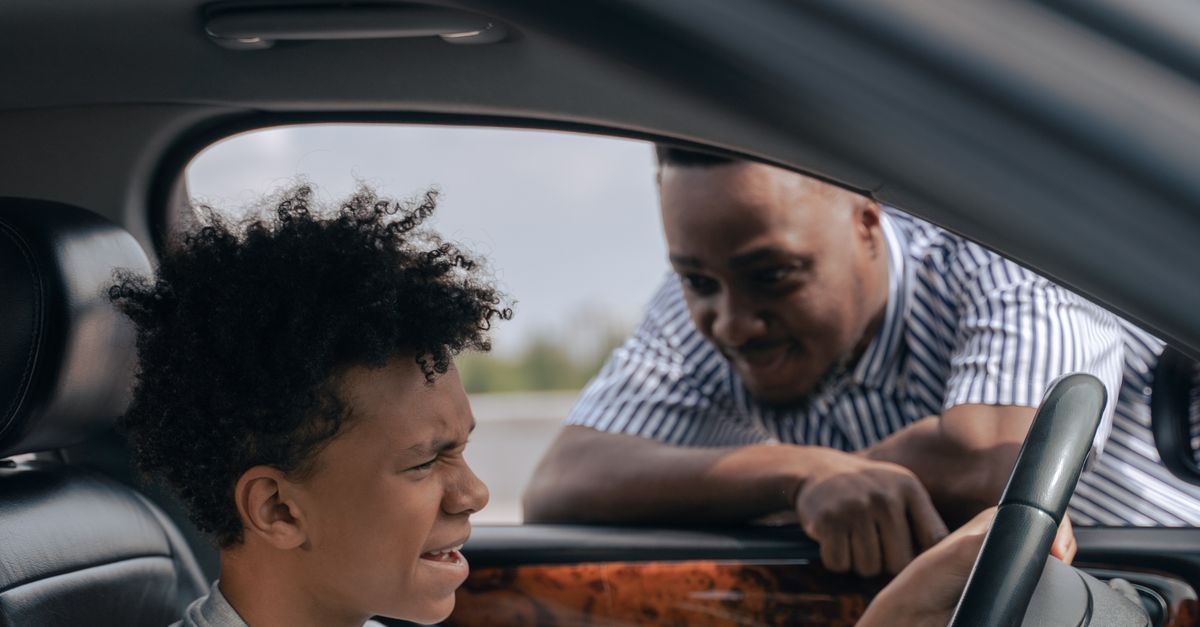 Enhancing Road Safety through Professional Assessment of Driving Skills